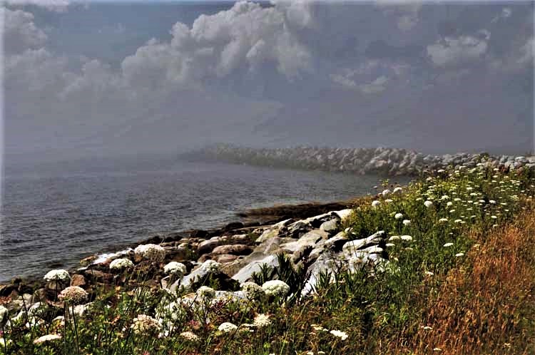 shoreline